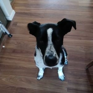 Meet your Posher, Jill